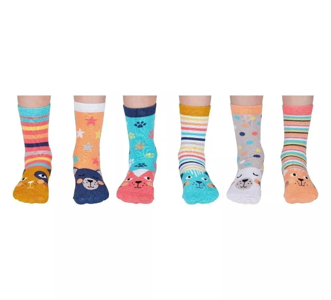 Coffret - Chaussettes - Catkins