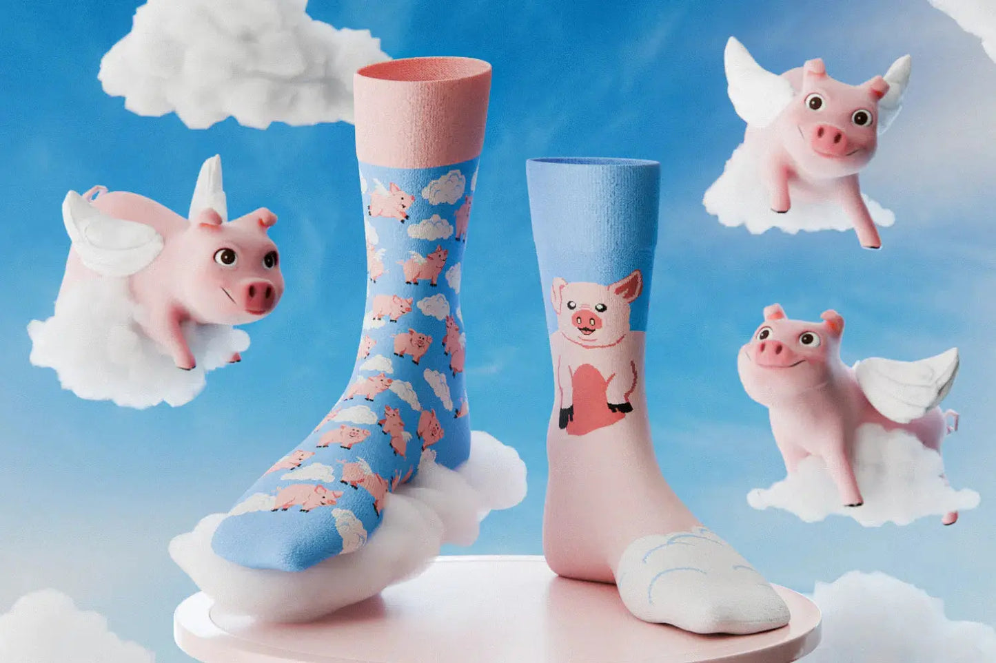 Piggy Dream