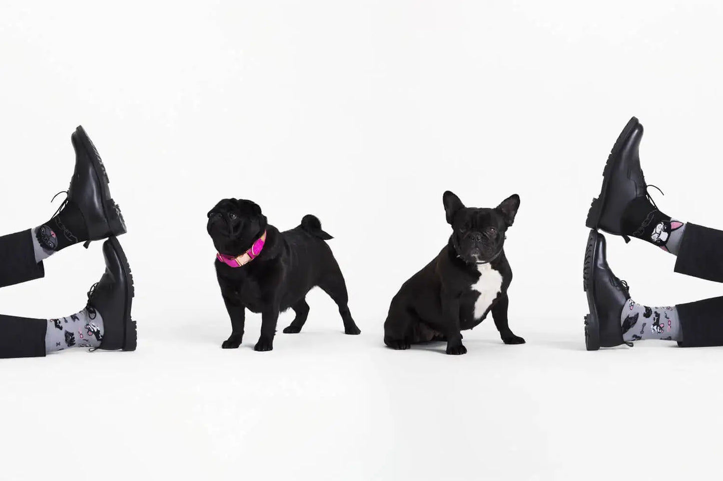 Chaussettes dépareillées - Tiny Little Dogs