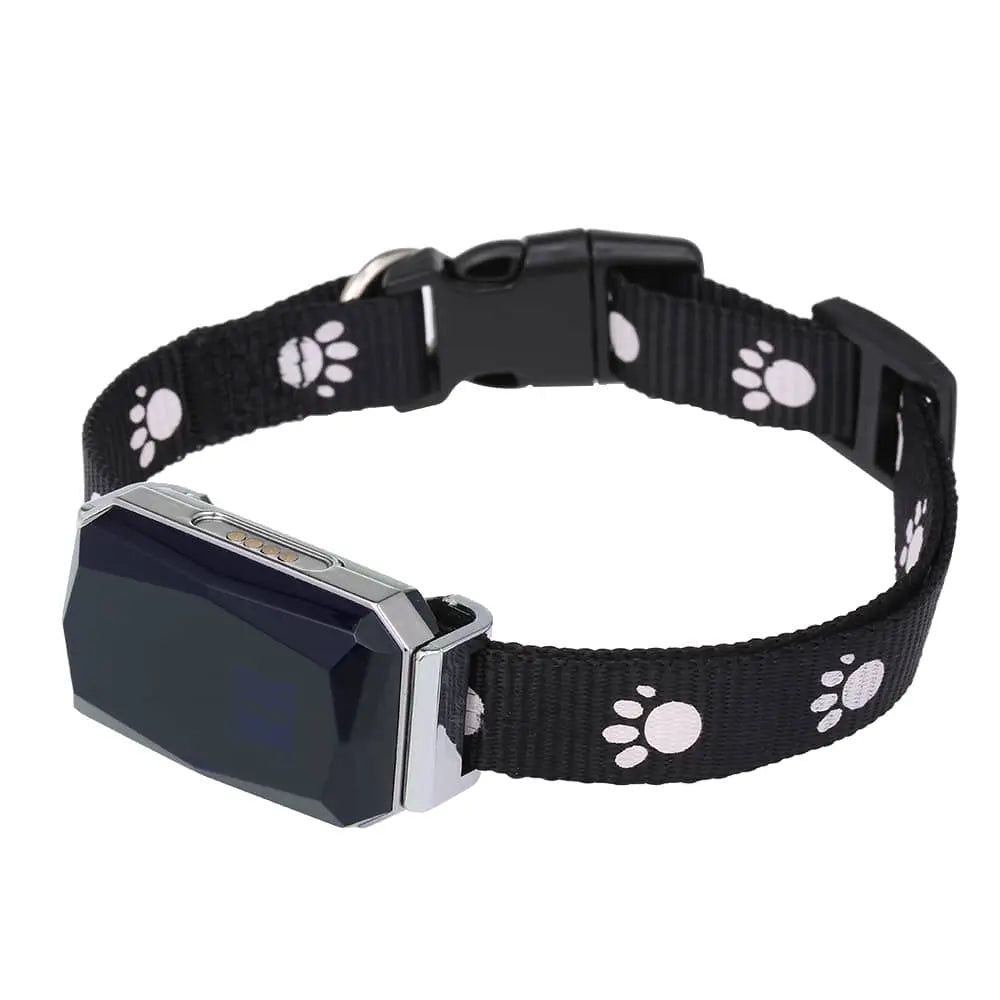 Collier GPS Étanche pour Chien Connecté et Robuste