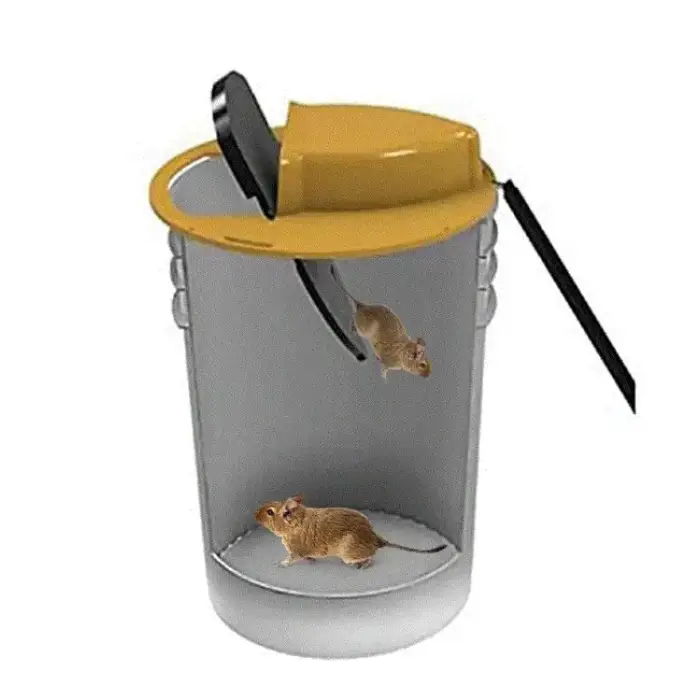 Piège à Souris Rapide et Efficace