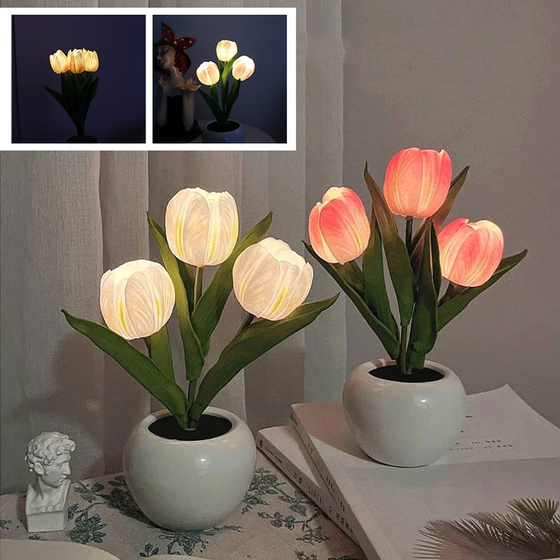 LumaBloom - Illuminez rapidement n'importe quel espace avec une lumière chaleureuse et accueillante