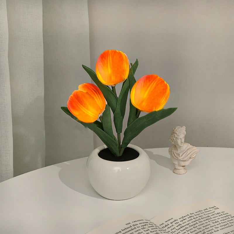 LumaBloom - Illuminez rapidement n'importe quel espace avec une lumière chaleureuse et accueillante