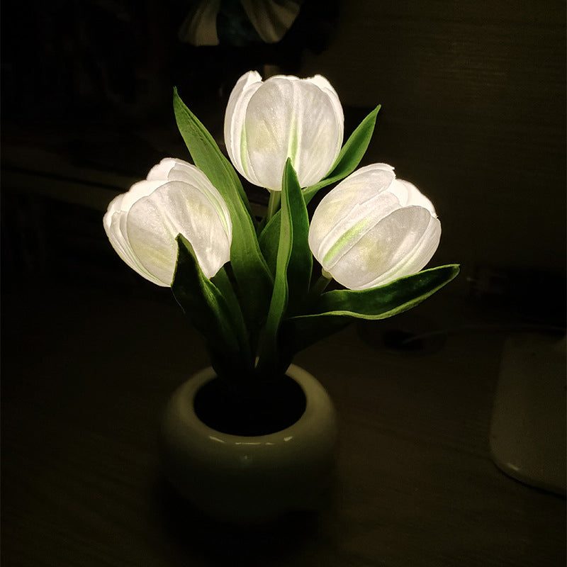LumaBloom - Illuminez rapidement n'importe quel espace avec une lumière chaleureuse et accueillante