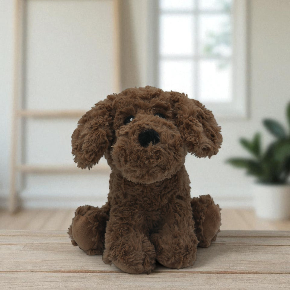 🐶 Pitou le chiot