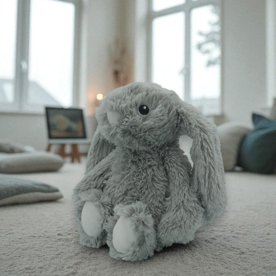 🐰 Pépin le lapin