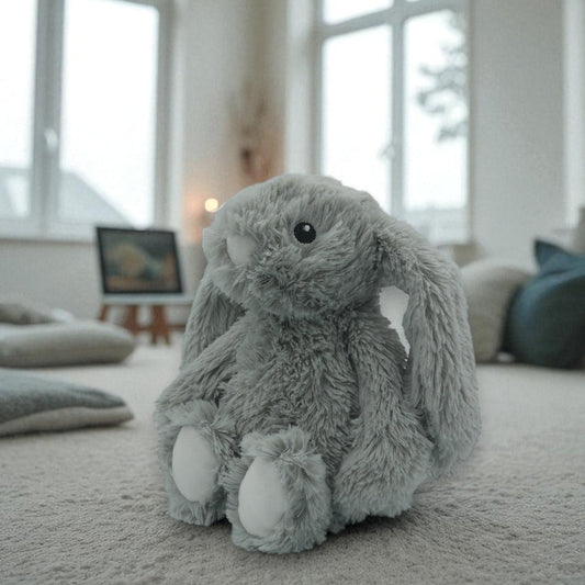 🐰 Pépin le lapin