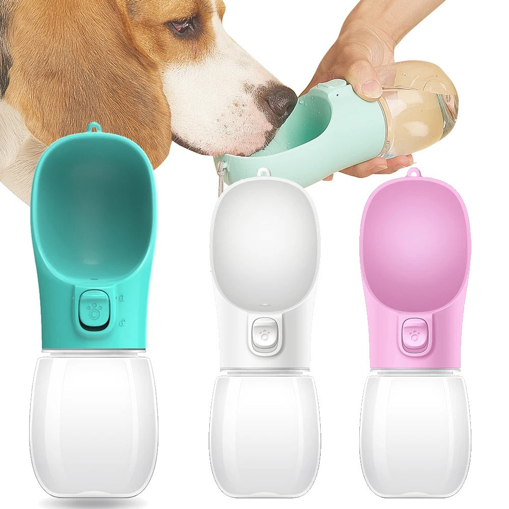 Bouteille d'eau voyage pour chien