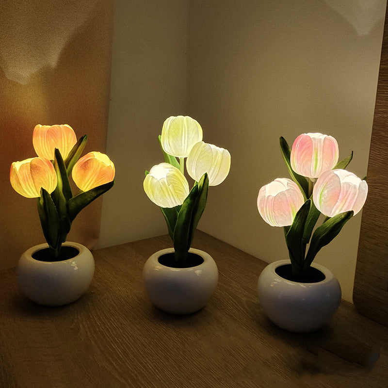 LumaBloom - Illuminez rapidement n'importe quel espace avec une lumière chaleureuse et accueillante