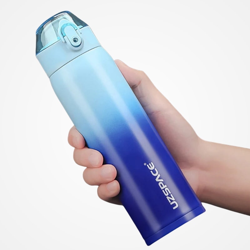 Gourde Inox Isotherme DriveTub 500ml : Hydratation optimale en voyage | Le Sac du Voyageur