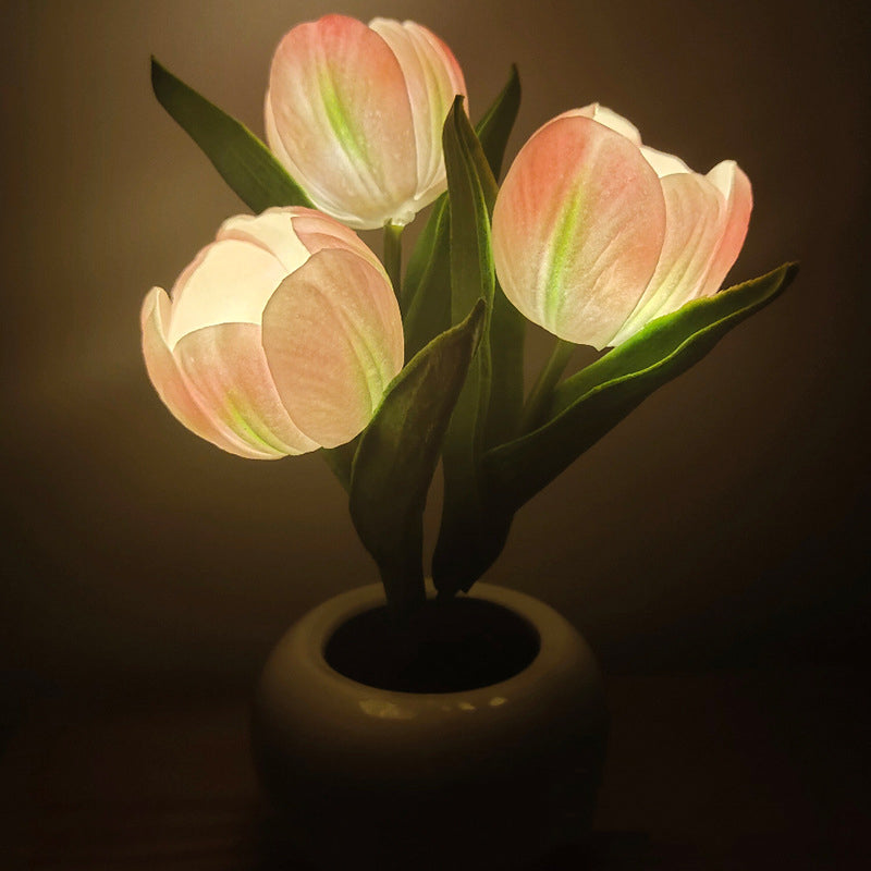 LumaBloom - Illuminez rapidement n'importe quel espace avec une lumière chaleureuse et accueillante
