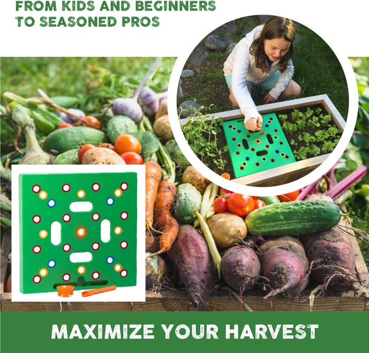 GrowSmart - Espacement idéal des graines pour des récoltes plus grandes et plus saines