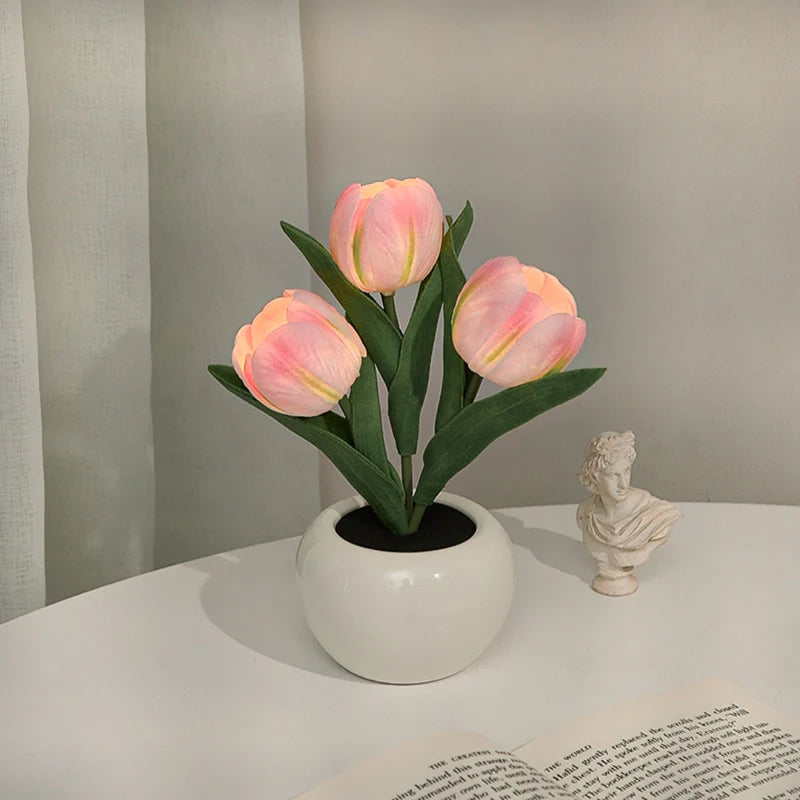 LumaBloom - Illuminez rapidement n'importe quel espace avec une lumière chaleureuse et accueillante