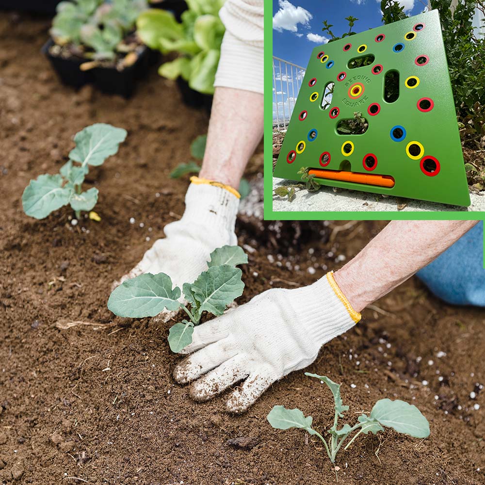 GrowSmart - Espacement idéal des graines pour des récoltes plus grandes et plus saines