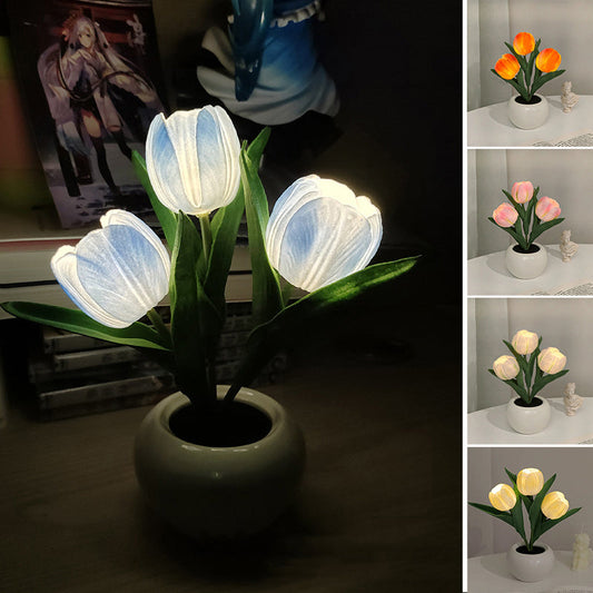 LumaBloom - Illuminez rapidement n'importe quel espace avec une lumière chaleureuse et accueillante