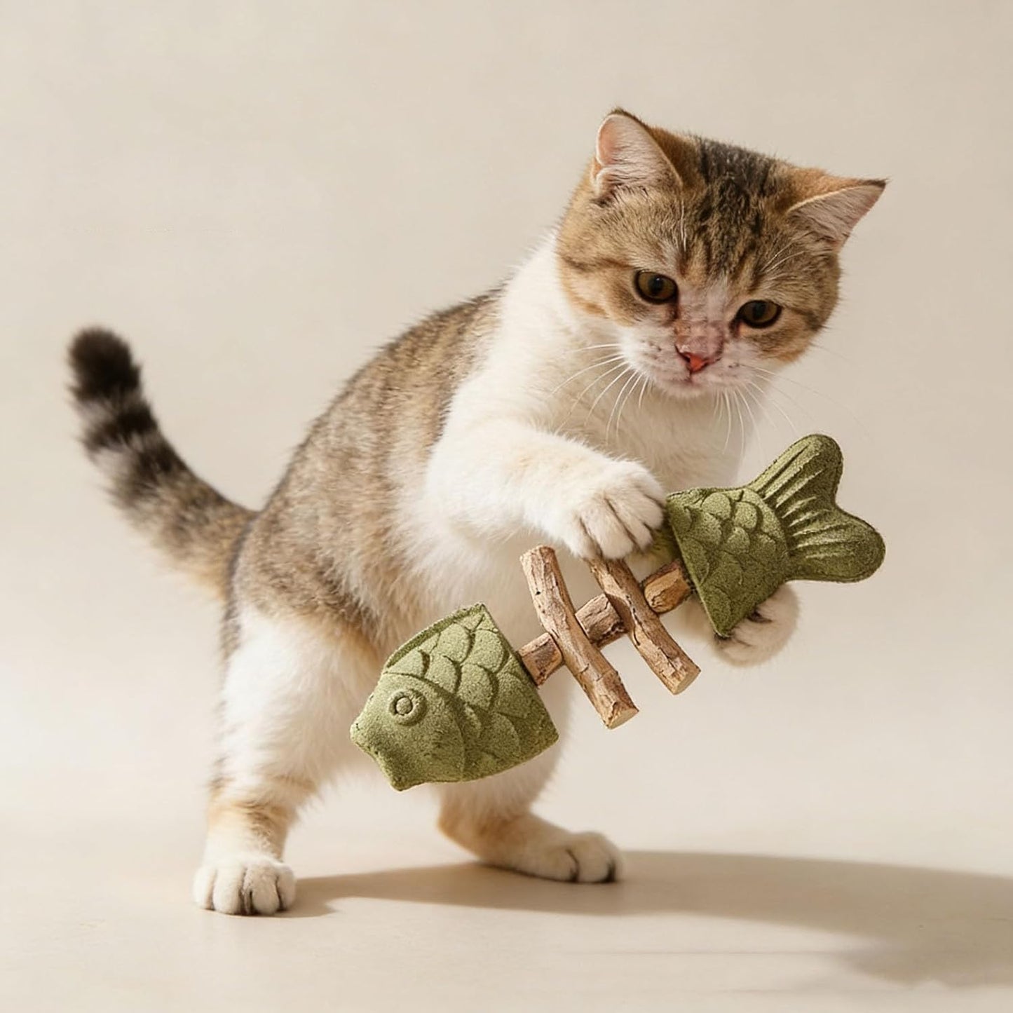 PurrEase - Apaise naturellement les chats tout en nettoyant doucement leurs dents
