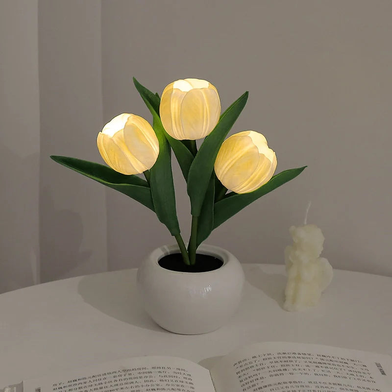 LumaBloom - Illuminez rapidement n'importe quel espace avec une lumière chaleureuse et accueillante