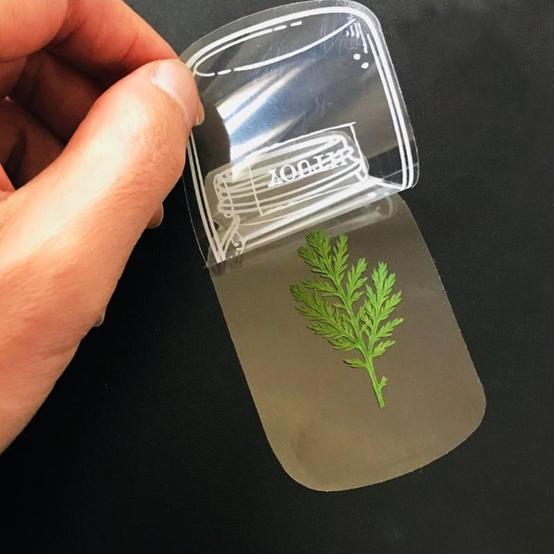 FloraMark - Marque-Page Artisanal en Fleurs Séchées Pressées