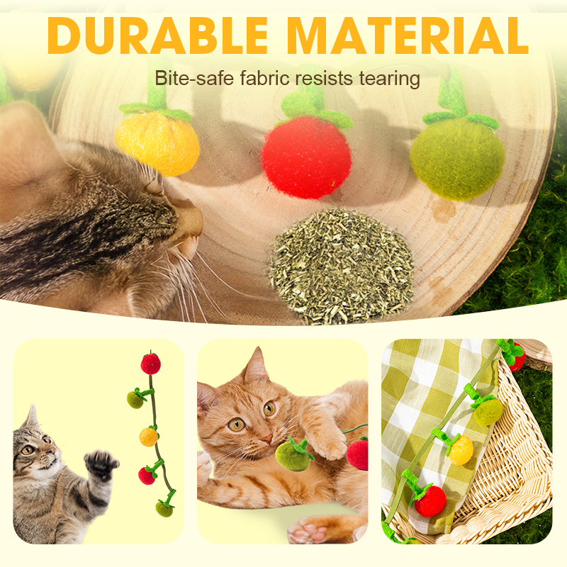 PurrVibe - Éveillez la Joie et la Vitalité chez Votre Chat Dès Maintenant