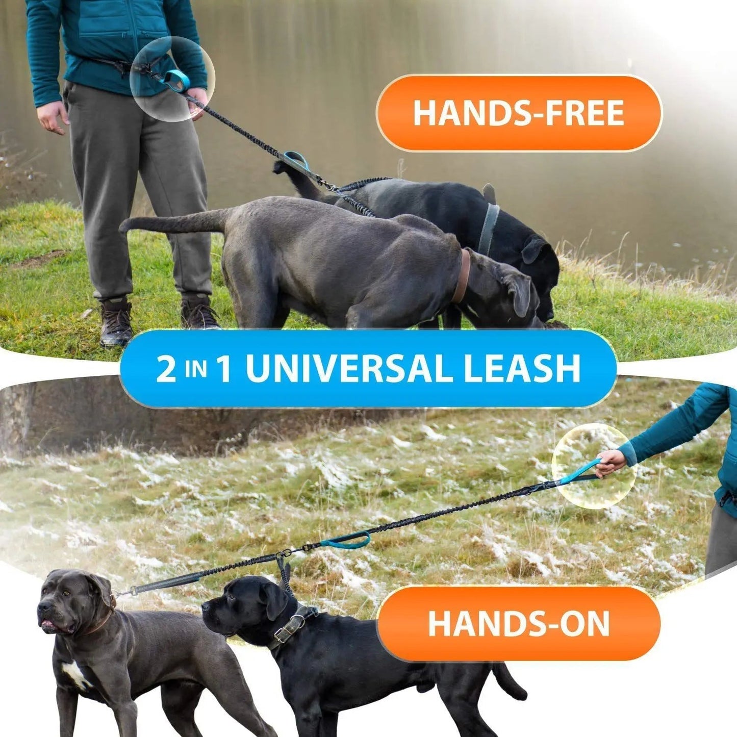 FreeStride - Gestion sans enchevêtrement et mains libres pour les promenades énergiques avec chien