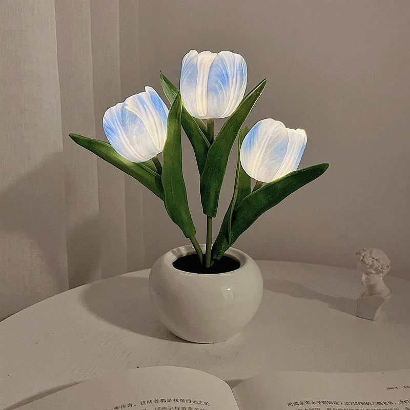 LumaBloom - Illuminez rapidement n'importe quel espace avec une lumière chaleureuse et accueillante
