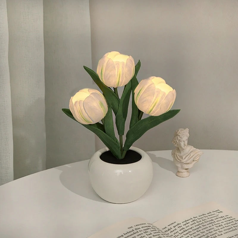 LumaBloom - Illuminez rapidement n'importe quel espace avec une lumière chaleureuse et accueillante
