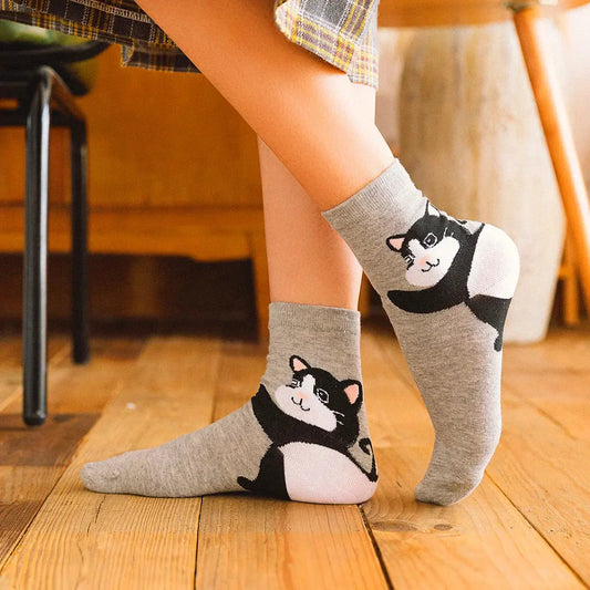 Animaux Talons - Chat