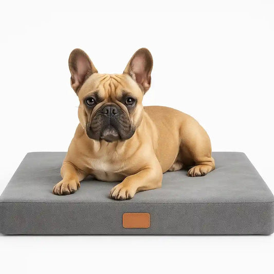 BulldoRest™ – Coussin Chien Orthopédique Soutien Dorsal