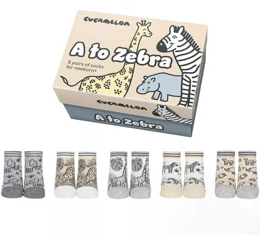 Coffret -Chaussettes - A to Zebra