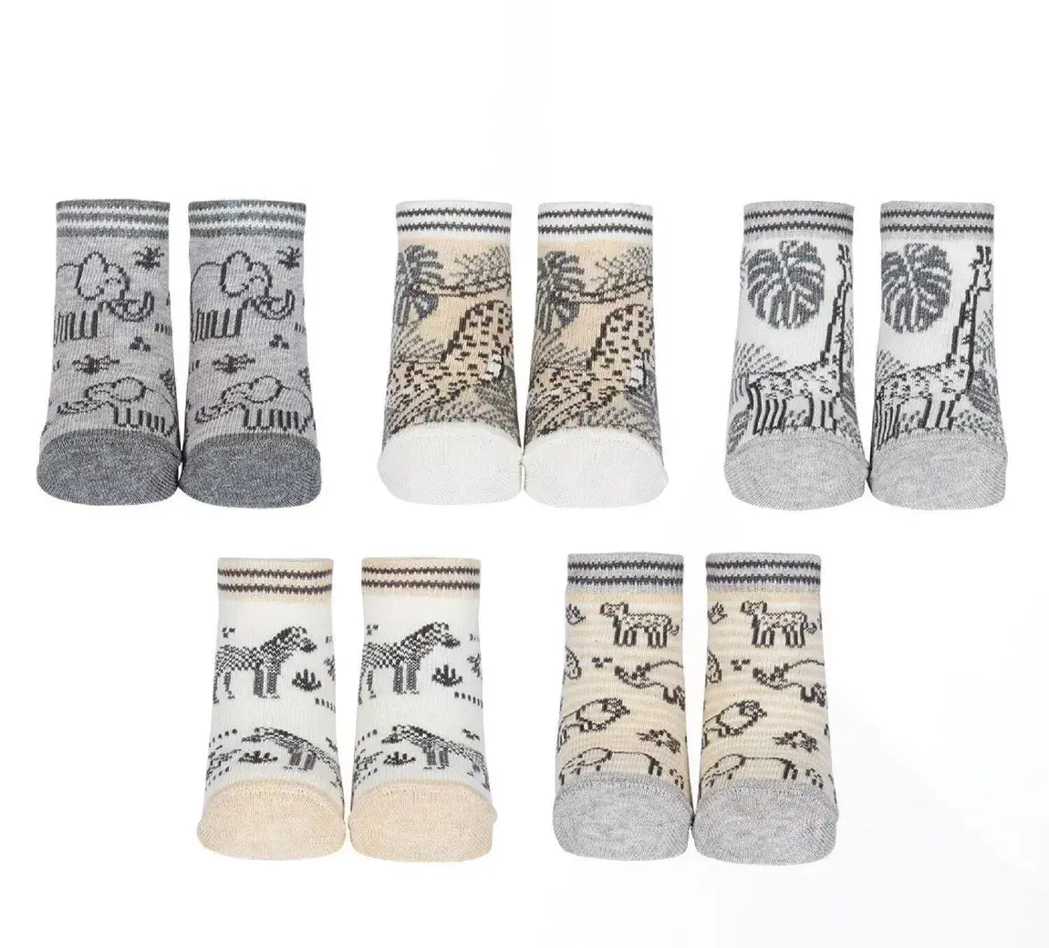 Coffret -Chaussettes - A to Zebra