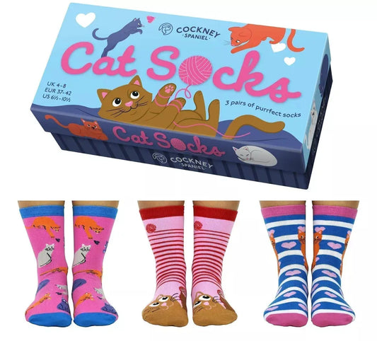 Coffret - Chaussettes - Cat Socks
