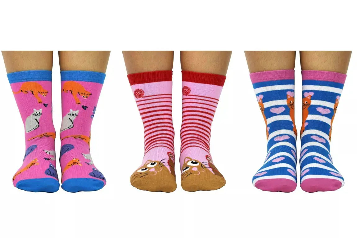 Coffret - Chaussettes - Cat Socks
