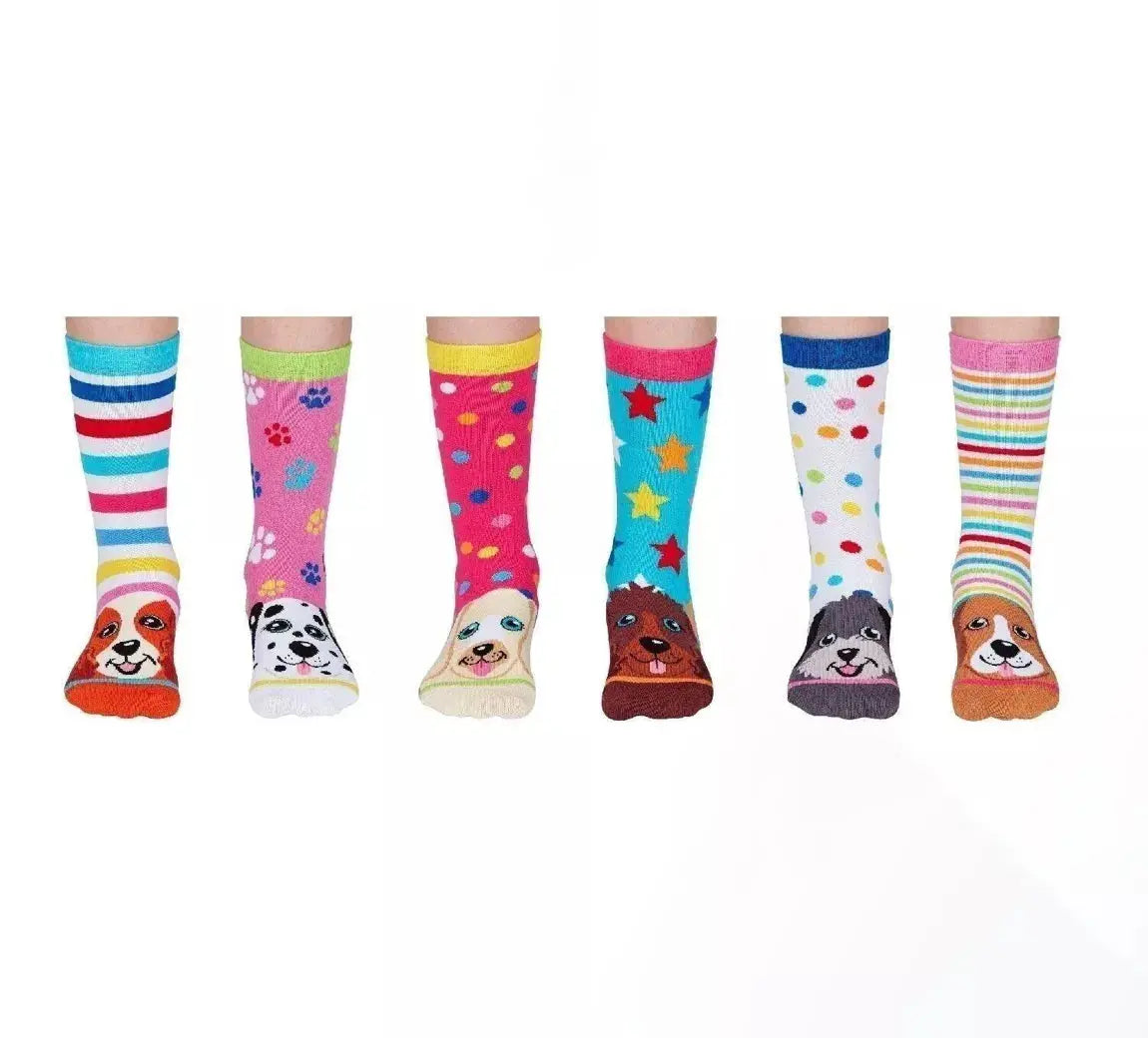 Coffret - Chaussettes - Pupstars