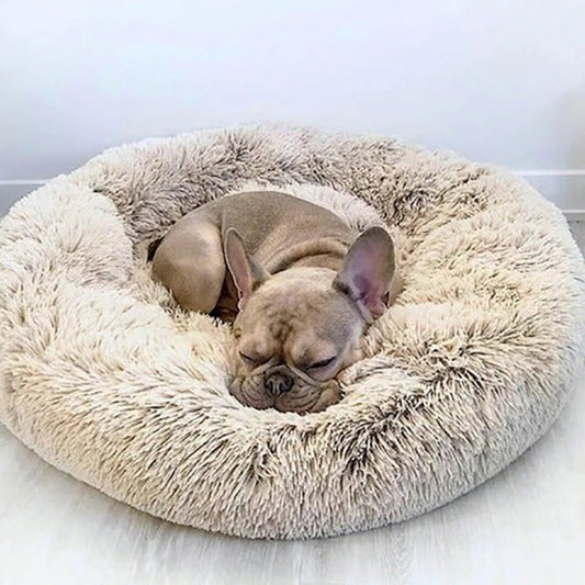 Coussin Douillet pour Chien - Lit Canin Lavable