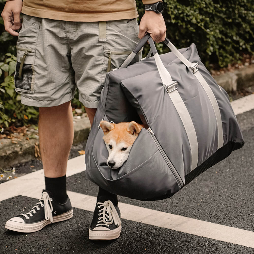 Support de Transport Chien pour Voiture