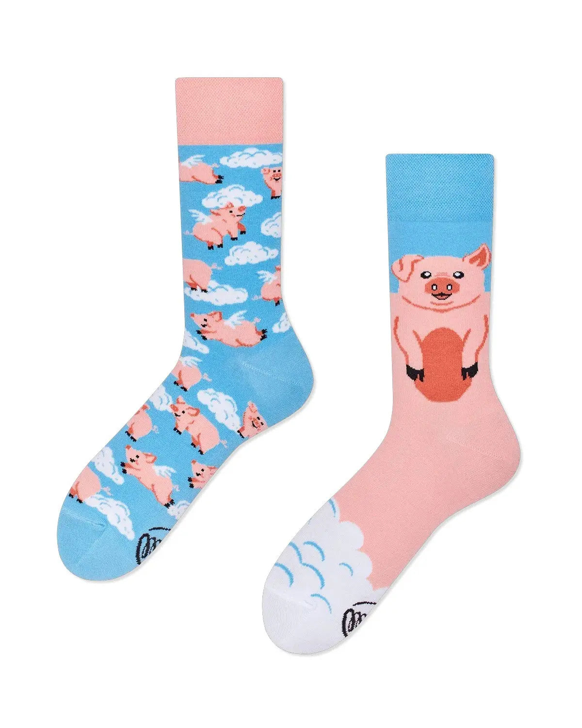 Piggy Dream