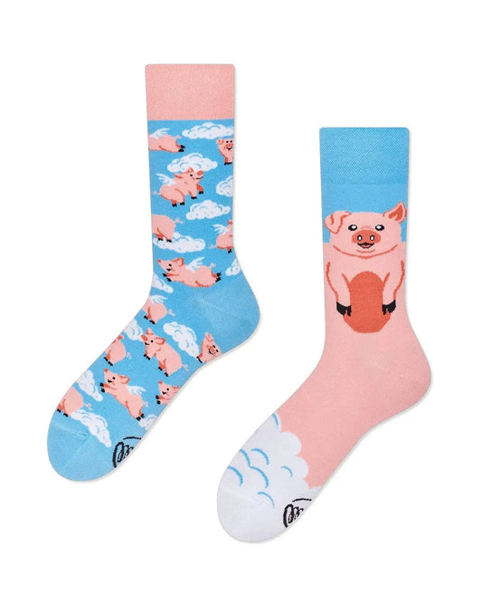 Piggy Dream