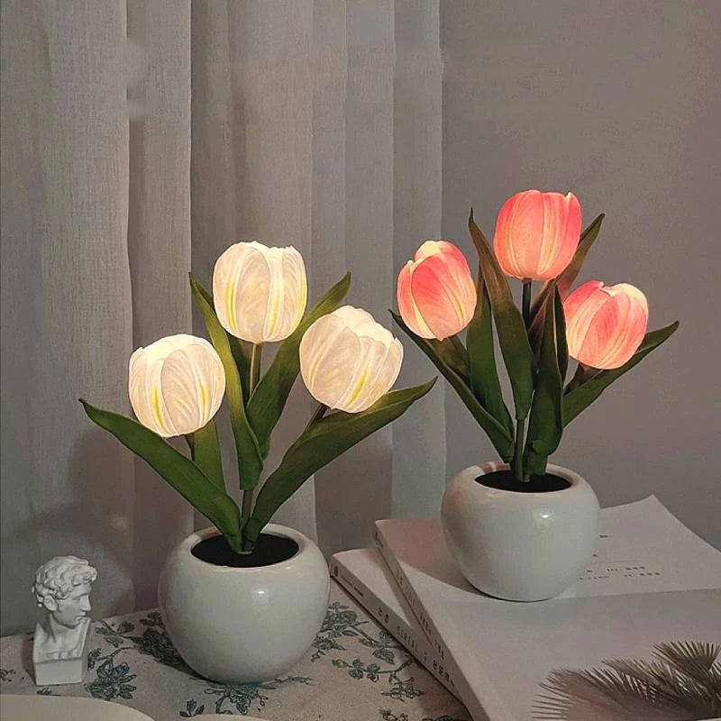 LumaBloom - Illuminez rapidement n'importe quel espace avec une lumière chaleureuse et accueillante