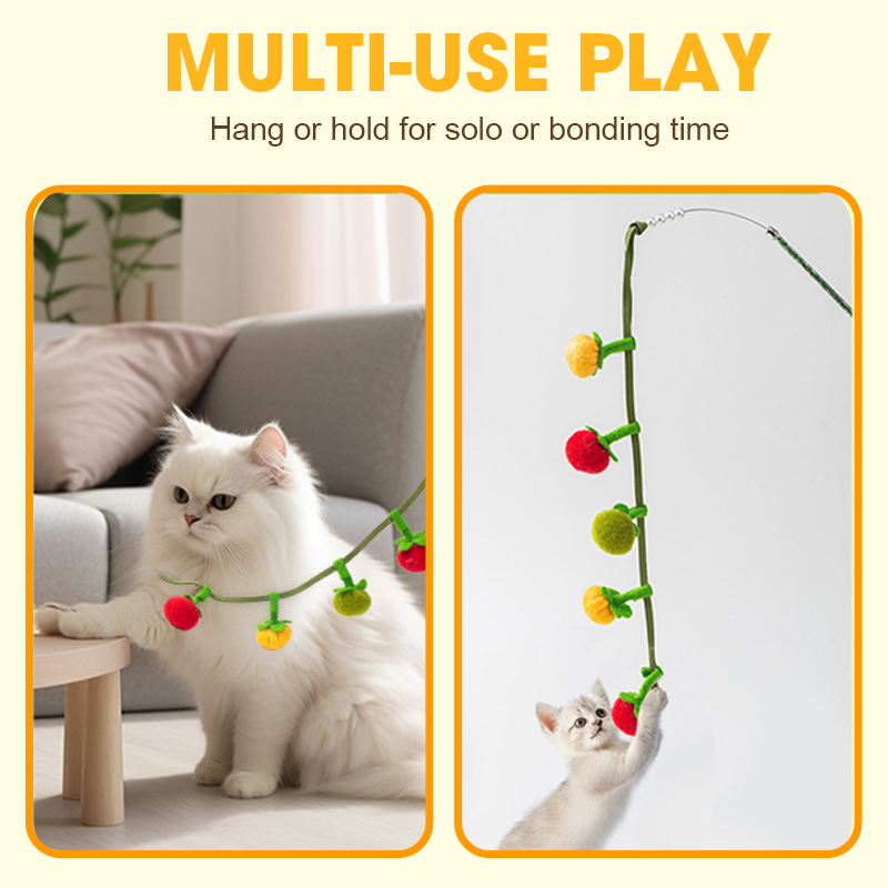PurrVibe - Éveillez la Joie et la Vitalité chez Votre Chat Dès Maintenant