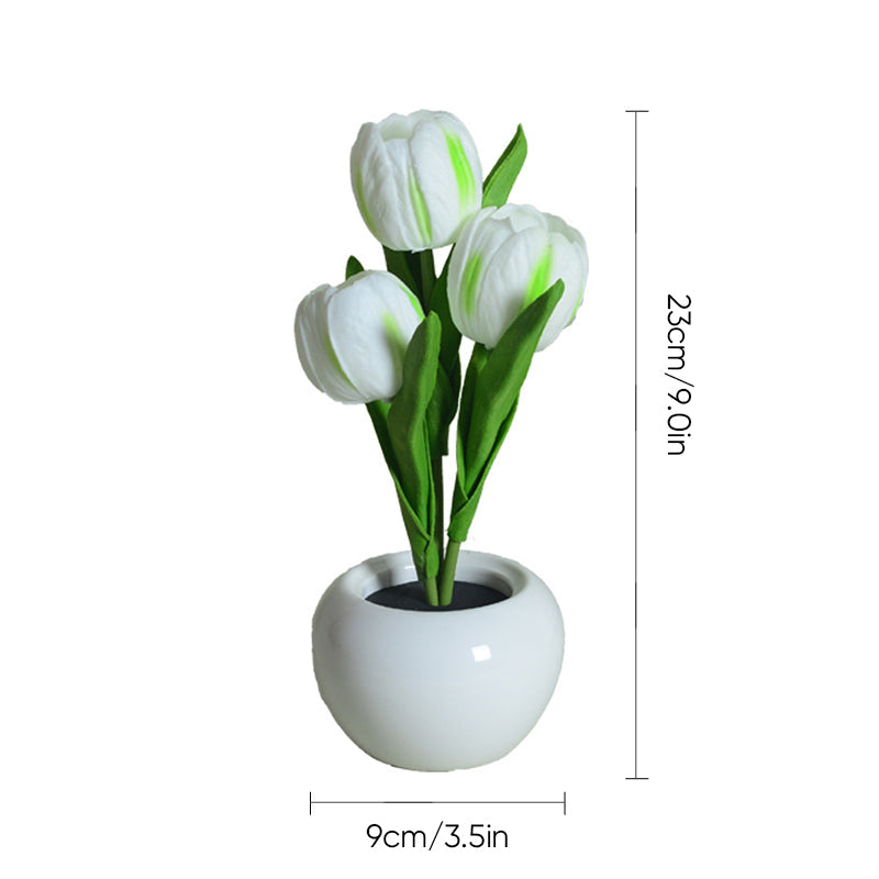 LumaBloom - Illuminez rapidement n'importe quel espace avec une lumière chaleureuse et accueillante
