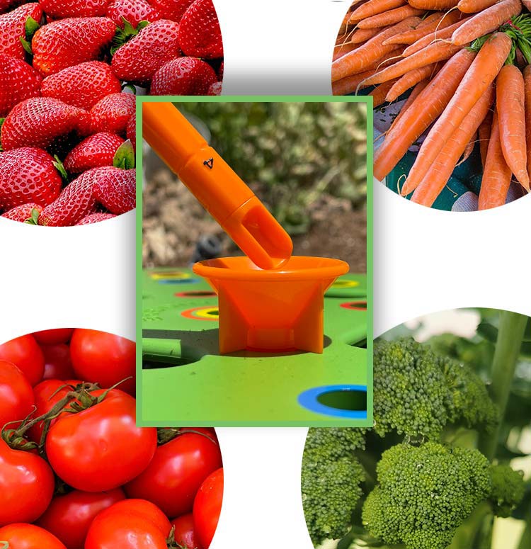 GrowSmart - Espacement idéal des graines pour des récoltes plus grandes et plus saines