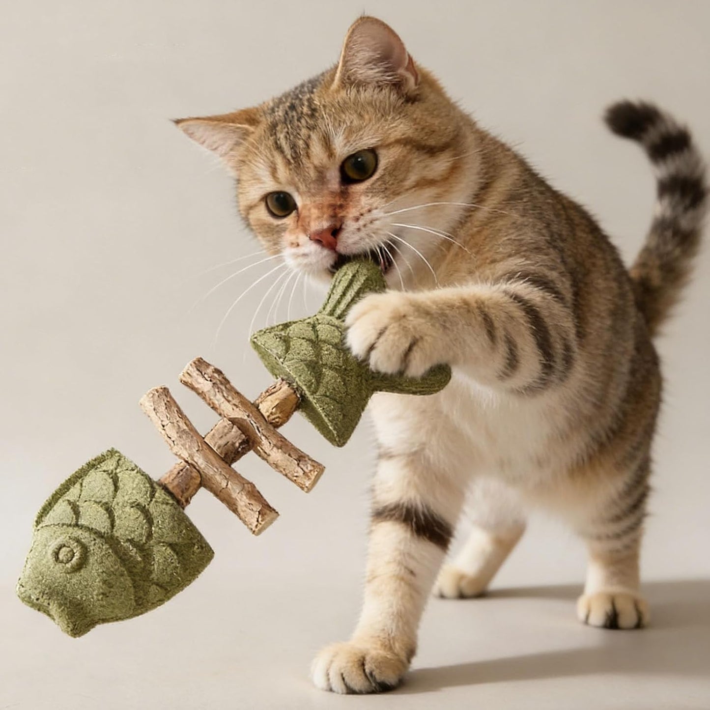 PurrEase - Apaise naturellement les chats tout en nettoyant doucement leurs dents