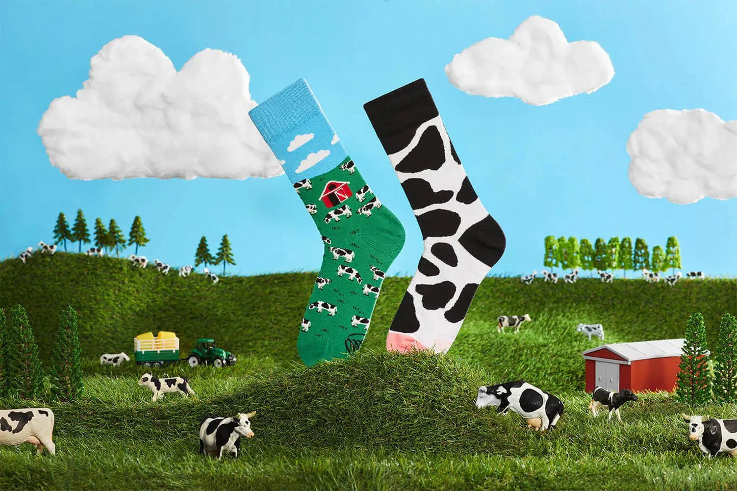 Chaussettes dépareillées - Holy Cow