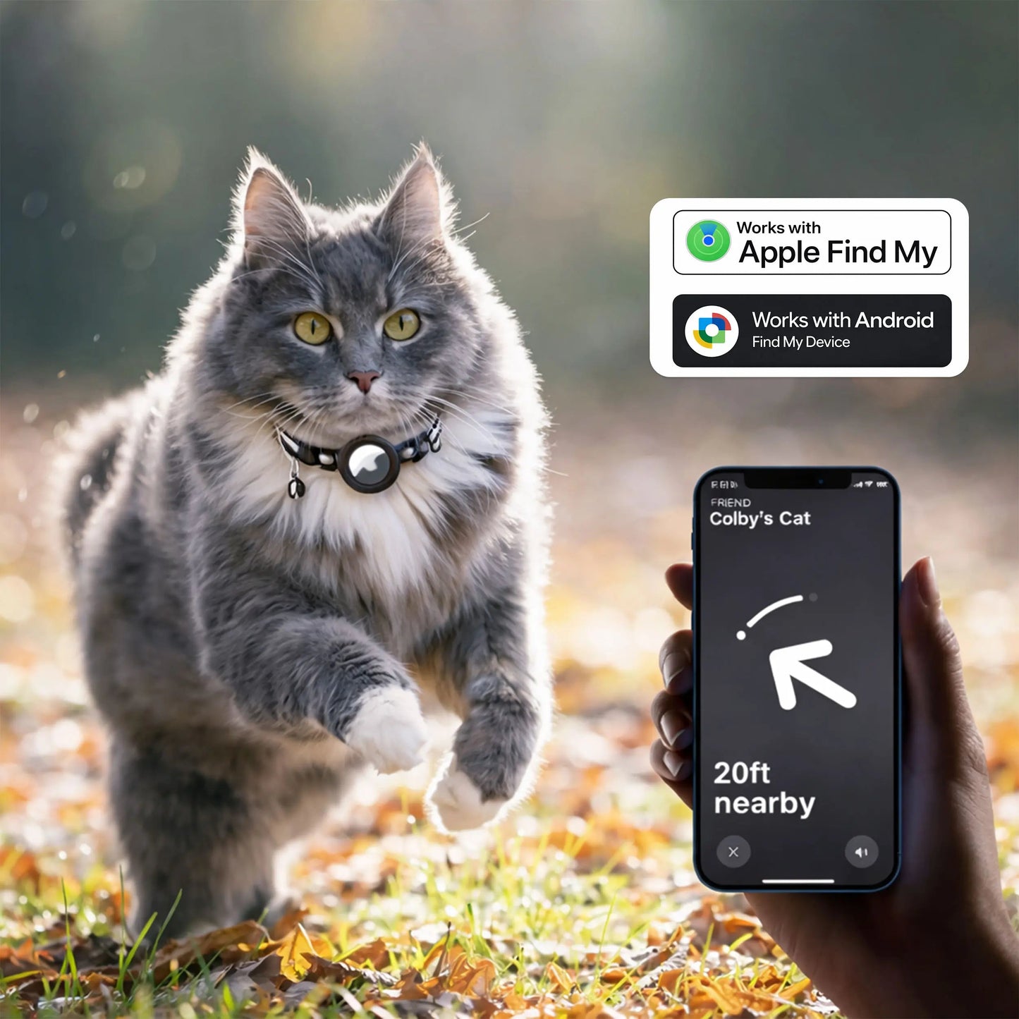 PawTrackr - Recevez des mises à jour instantanées sur la localisation de votre chat à tout moment, partout