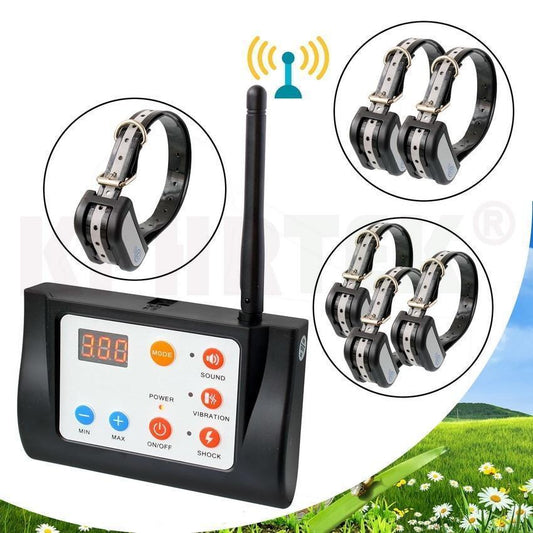 Clôture Électronique Pour Chien En Liberté