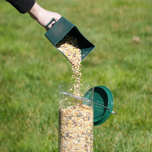 Heavy-Duty Squirrel Proof Bird Feeder - Metal Design