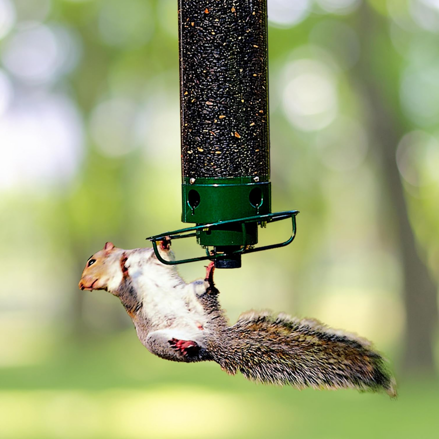 Mangeoire à Oiseaux en Métal Anti-Écureuils