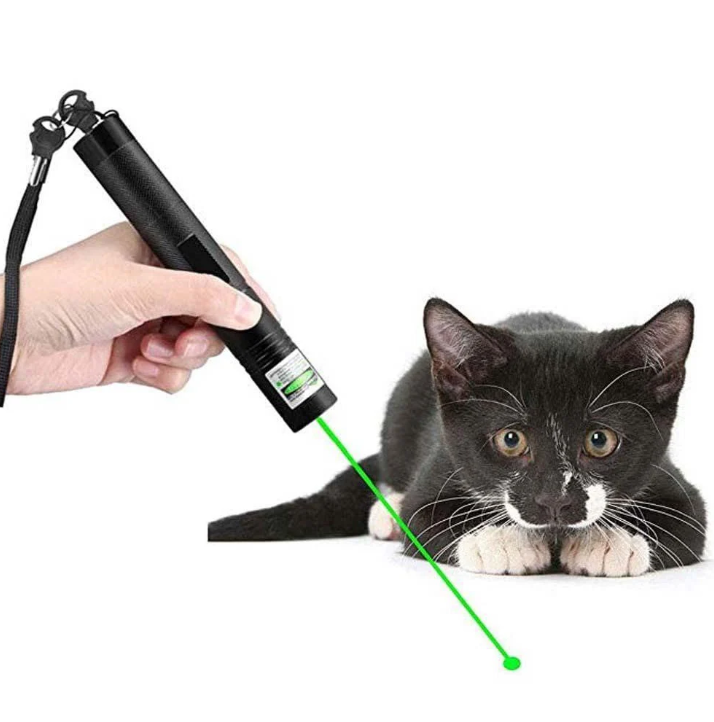 Pointeur Laser Portable
