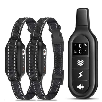 Collier de Dressage Imperméable Rechargeable