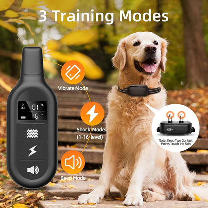 Collier de Dressage Imperméable Rechargeable